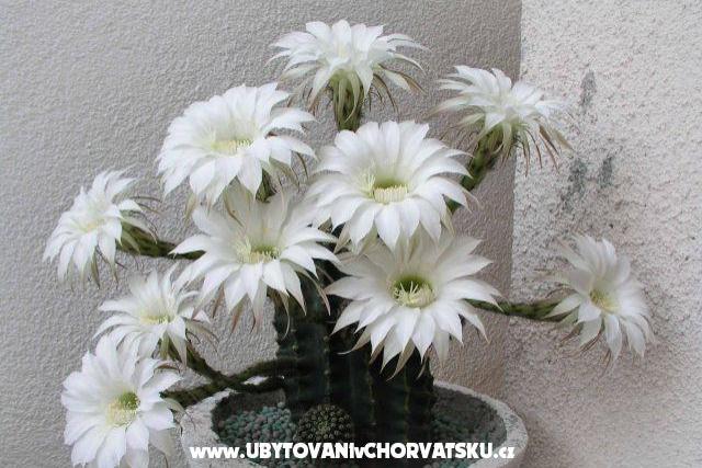 Appartamenti LM – foto 3