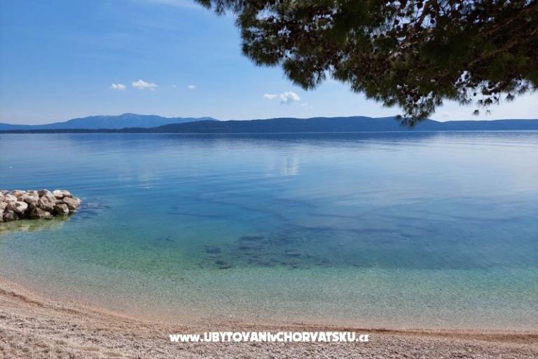 Appartamentoy Nevescanin – foto 6