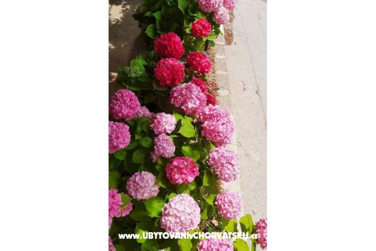 Appartamenti NEDA – foto 24