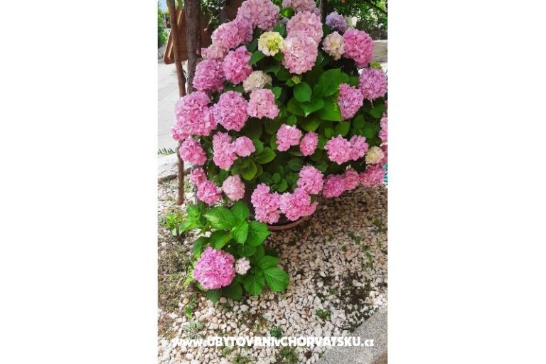 Appartamenti NEDA – foto 25