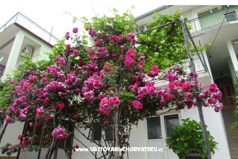 Appartamenti NEDA – foto 3