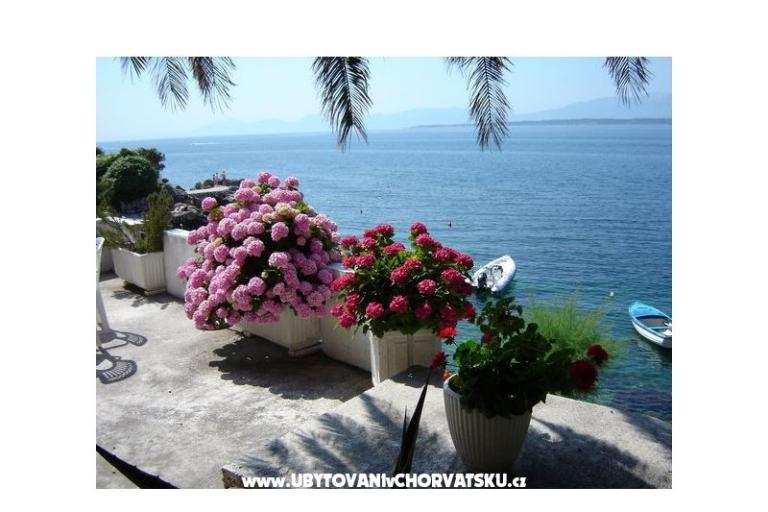 Appartamenti Šapat mora – foto 9
