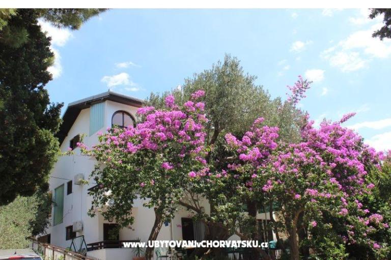Appartamenti Vila Filipovic – foto 3