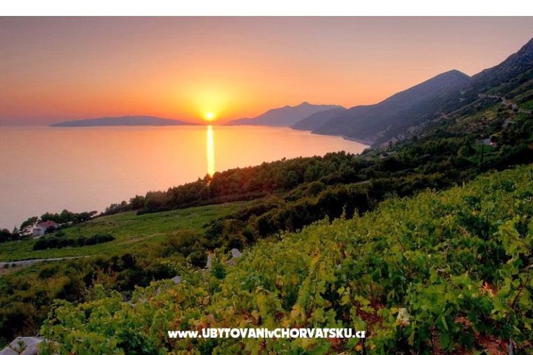 Appartamenti Musa – foto 10