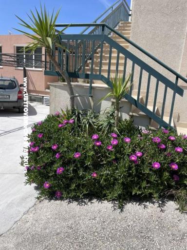 Appartamenti Leko – foto 22